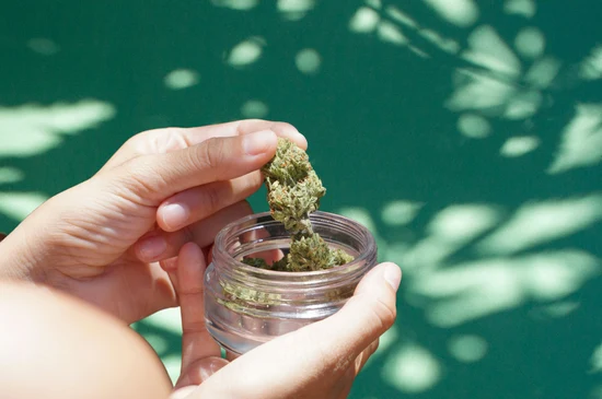 cannabisverslaving1